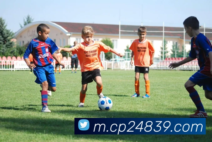 大发彩票APP 封面图